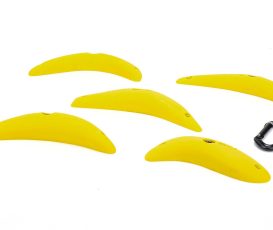 Bananas Medium
