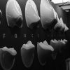 unit force majeure gray