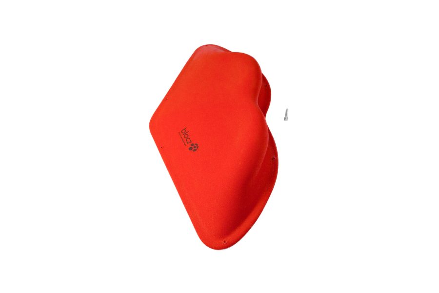 Bird 7
