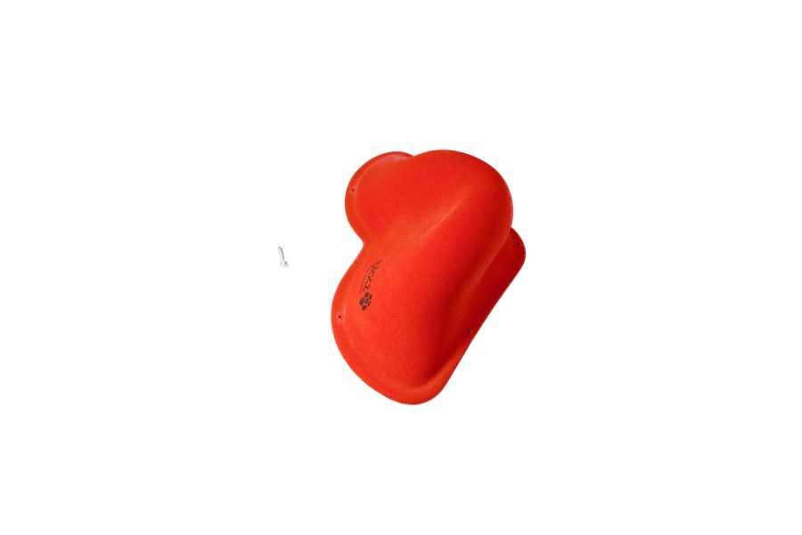 Bird 8