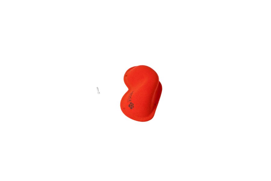 Bird 9
